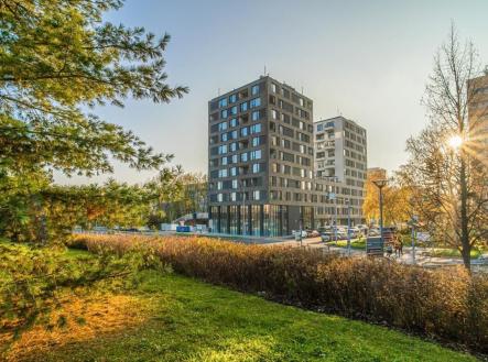 Pronájem bytu, 1+kk, 36 m²