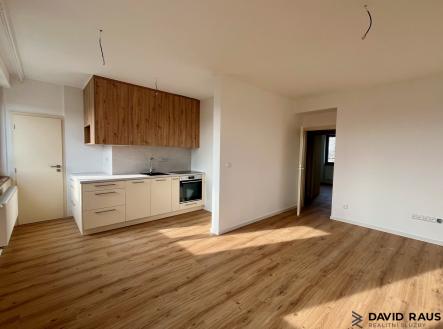 Pronájem bytu, 3+kk, 61 m²