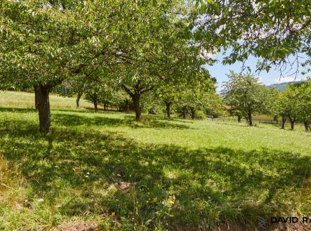 Prodej pozemku pro bydlení, 2 226 m²