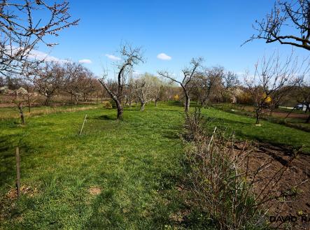 Prodej - pozemek, zahrada, 752 m²