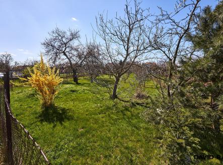 Prodej - pozemek, zahrada, 752 m²