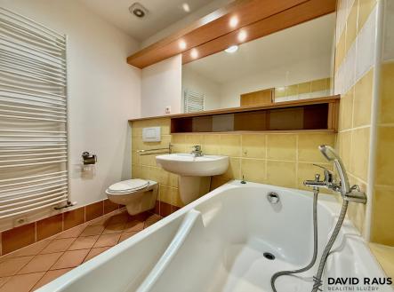 Pronájem bytu, 2+kk, 64 m²