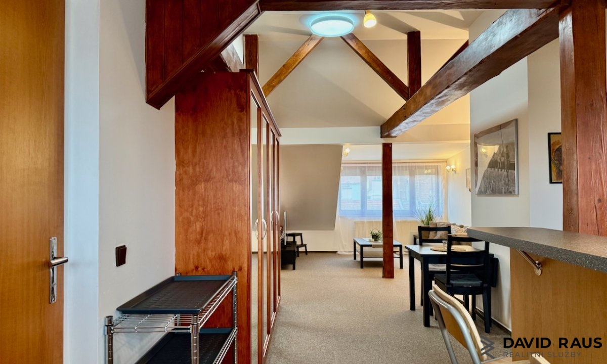 pronajem-zarizeneho-podkrovniho-bytu-1-kk-61m-ul-gorkeho-brno-veveri_6230