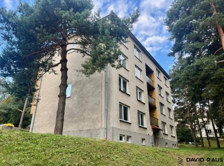 Pronájem bytu, 1+1, 38 m²