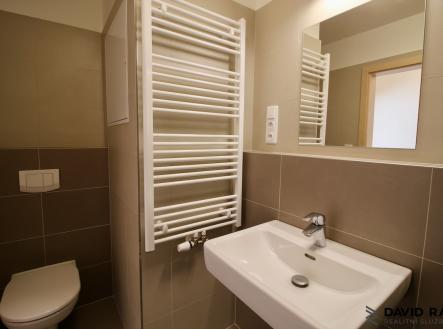 Pronájem bytu, 1+kk, 40 m²