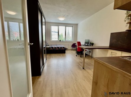 Pronájem bytu, 1+kk, 34 m²