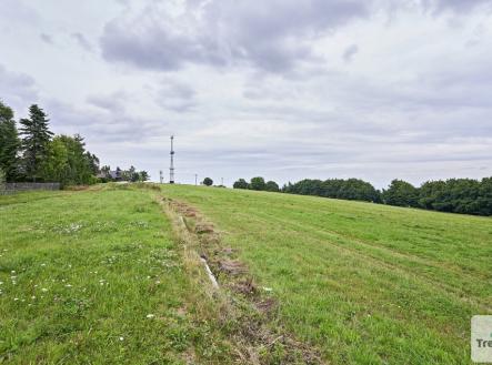 Prodej pozemku, trvalý travní porost, 1 013 m²