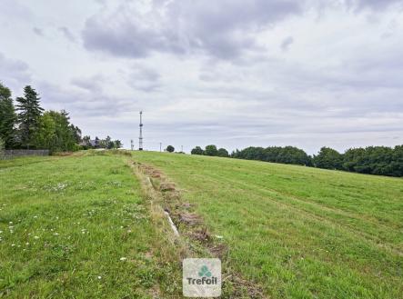 Prodej pozemku, trvalý travní porost, 1 013 m²