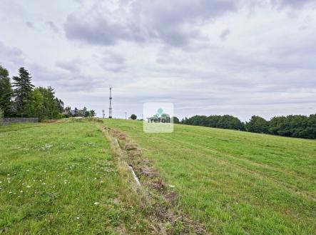 Prodej pozemku, trvalý travní porost, 1 013 m²