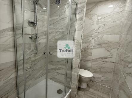 Prodej bytu, 1+kk, 27 m²