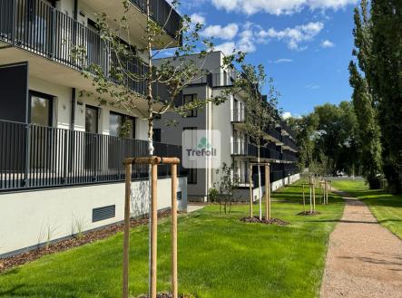 Prodej bytu, 2+kk, 47 m²