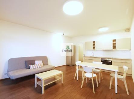 Pronájem bytu, 1+kk, 51 m²