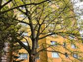 Prodej bytu, 1+1, 39 m²