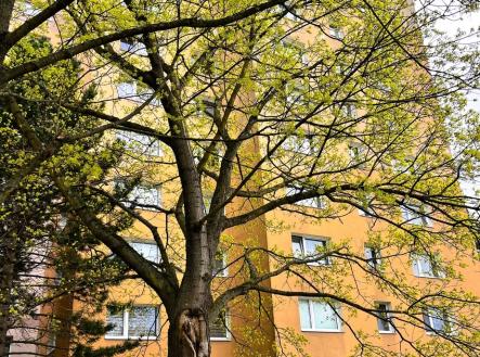 Prodej bytu, 1+1, 39 m²