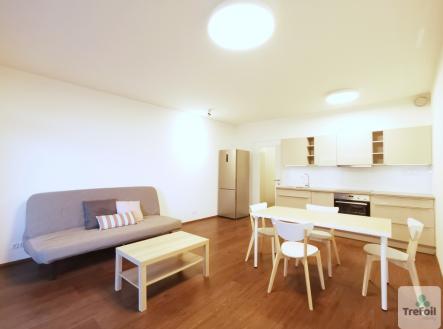 Pronájem bytu, 1+kk, 51 m²