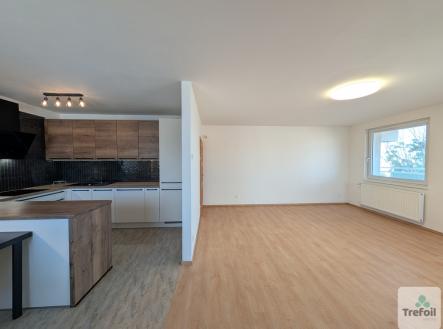 Pronájem bytu, 3+kk, 101 m²
