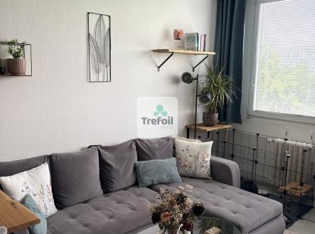 Prodej bytu, 2+kk, 45 m²