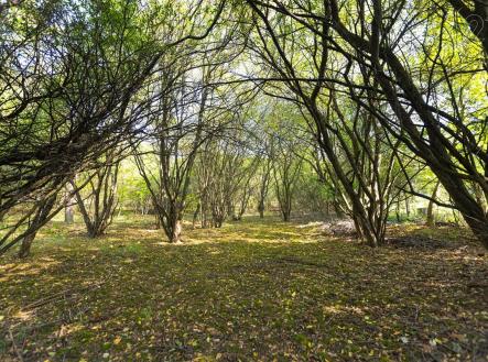 Prodej - pozemek pro komerční výstavbu, 4 736 m²