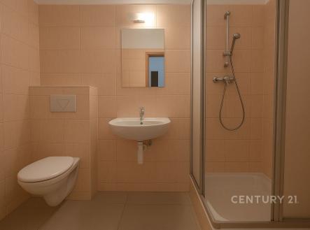 Pronájem bytu, 3+kk, 66 m²