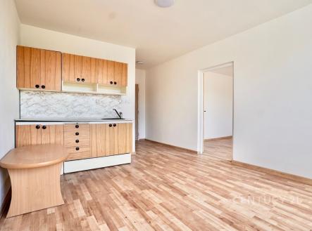 Prodej bytu, 1+1, 36 m²