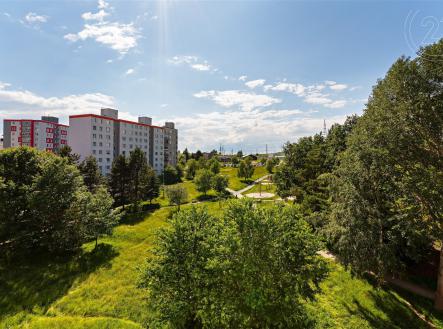 Prodej bytu, 3+1, 62 m²