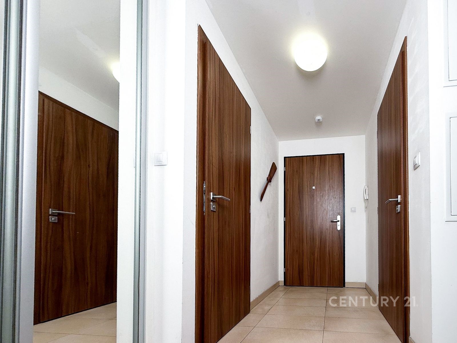 Fotku se nepodařilo načíst.