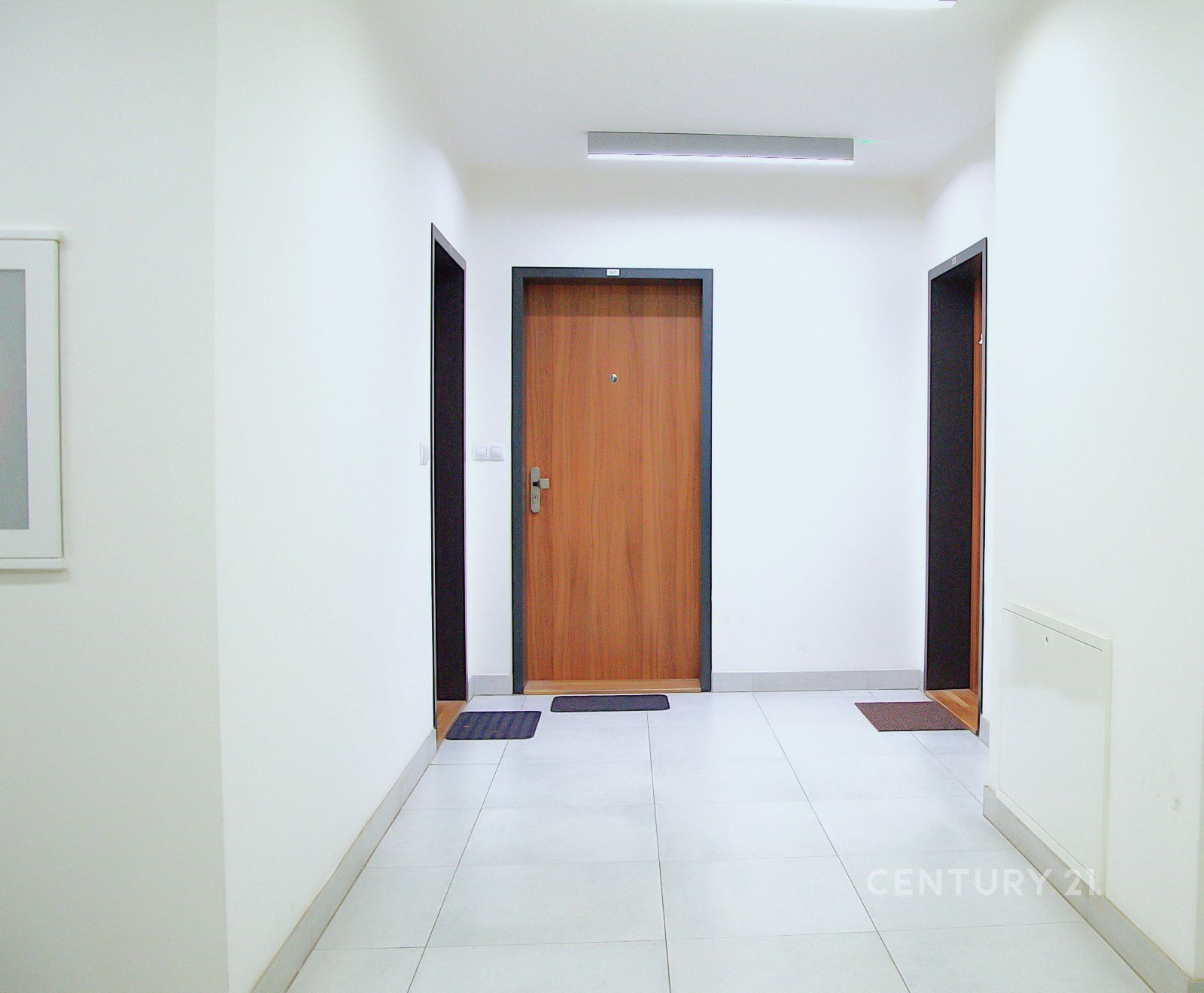 Fotku se nepodařilo načíst.