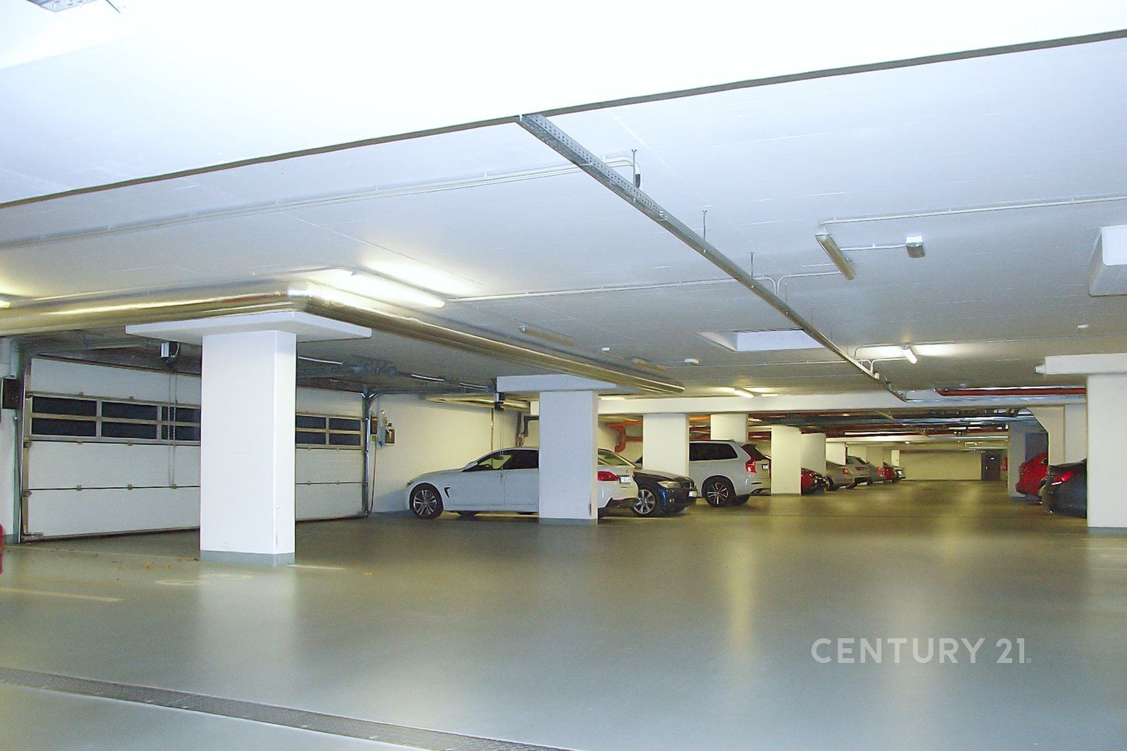 Fotku se nepodařilo načíst.