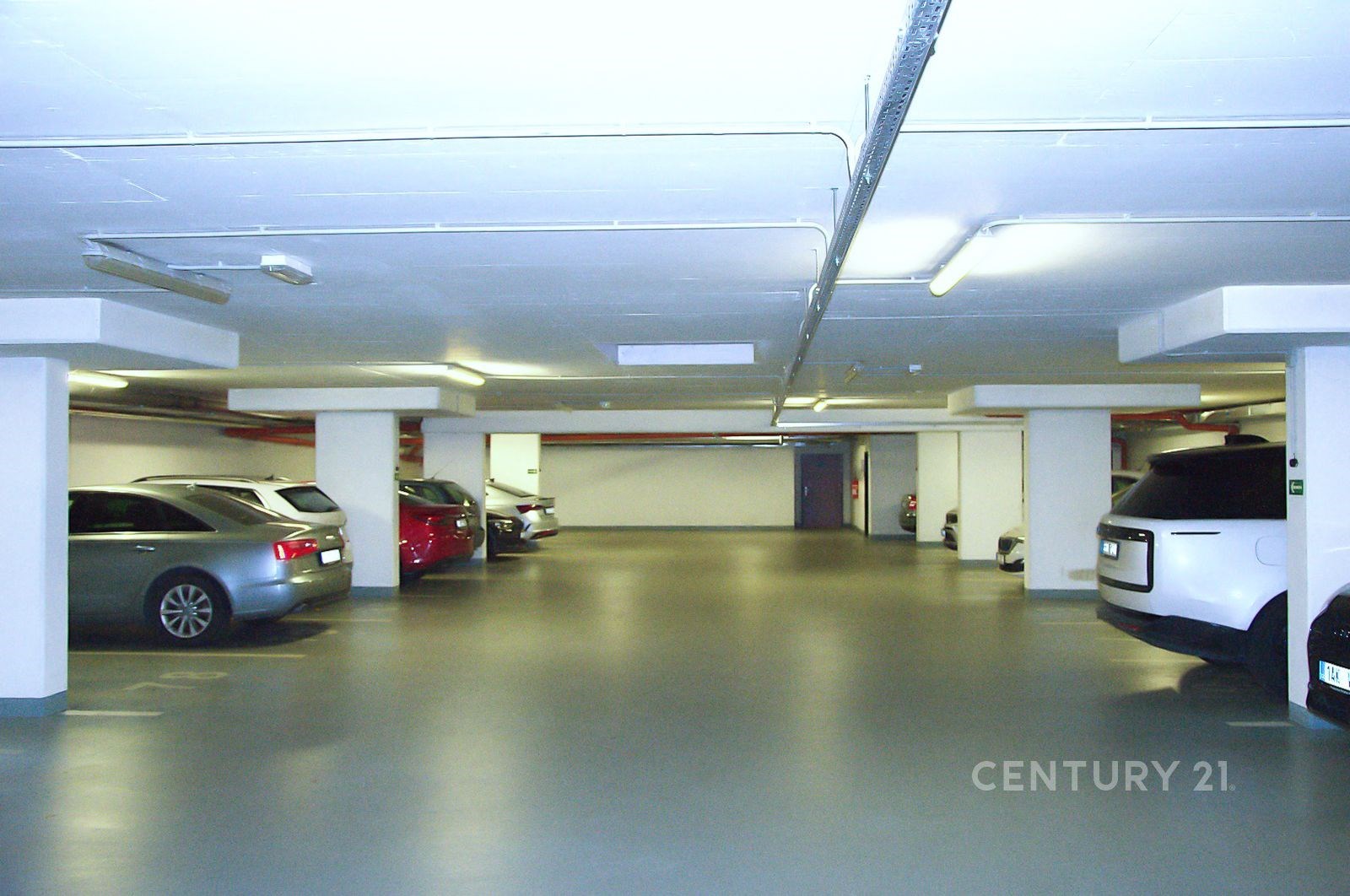 Fotku se nepodařilo načíst.