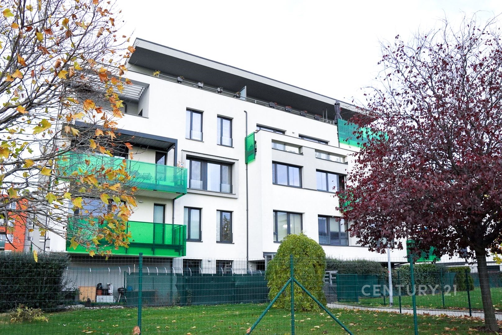 Fotku se nepodařilo načíst.