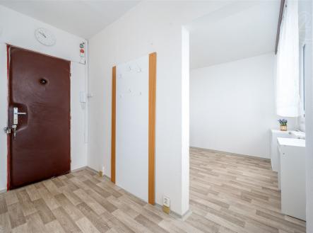 Prodej bytu, 2+kk, 42 m²