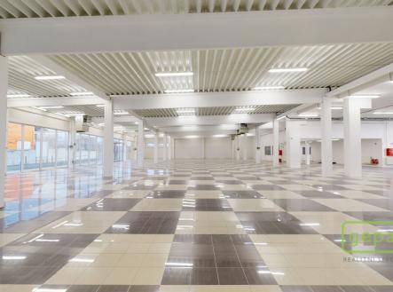 Pronájem obchodní prostor, 1 609 m²