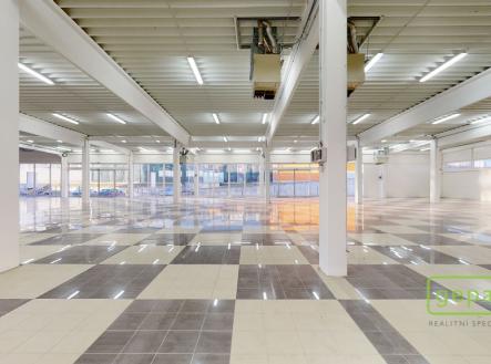 Pronájem obchodní prostor, 1 609 m²