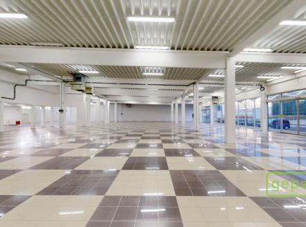 Pronájem obchodní prostor, 1 609 m²