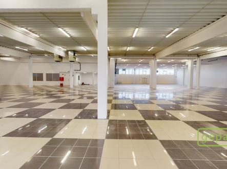 Pronájem obchodní prostor, 1 609 m²