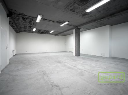 Pronájem kanceláře, 100 m²