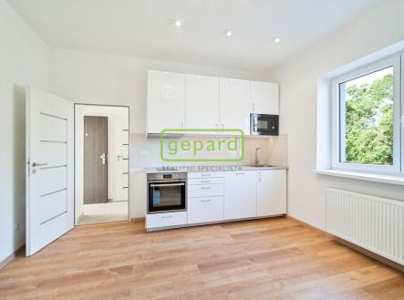 Prodej bytu, 1+kk, 27 m² obrázek