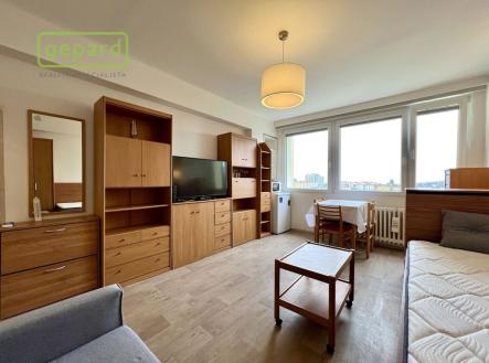 Pronájem bytu, 1+kk, 23 m²