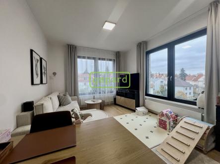 Pronájem bytu, 2+kk, 55 m²