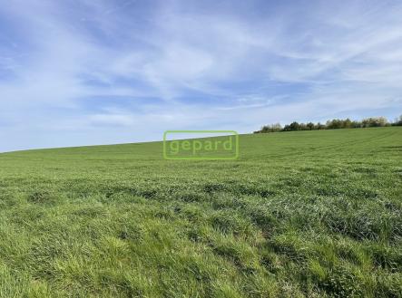 Prodej pozemku, zemědělská půda, 5 446 m²