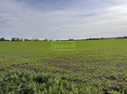 Prodej pozemku, zemědělská půda, 5 446 m²