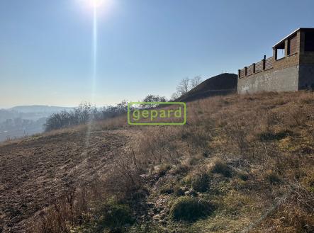 Prodej pozemku pro bydlení, 3 885 m²