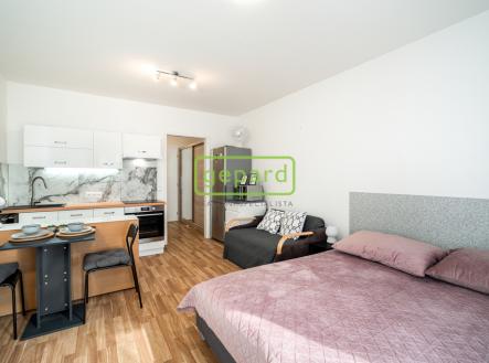 Pronájem bytu, 1+kk, 28 m²