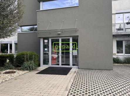 Pronájem kanceláře, 130 m²