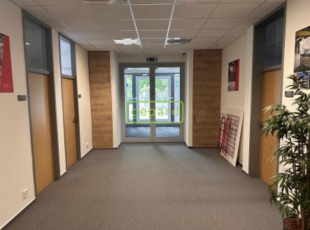 Pronájem kanceláře, 130 m²