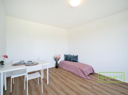 Pronájem bytu, 1+kk, 28 m²