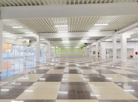 Pronájem obchodní prostor, 1 609 m²