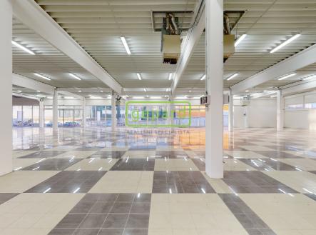 Pronájem obchodní prostor, 1 609 m²