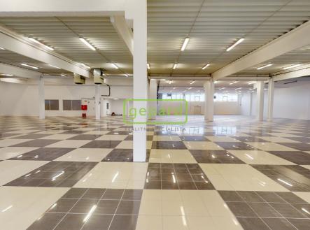 Pronájem obchodní prostor, 1 609 m²