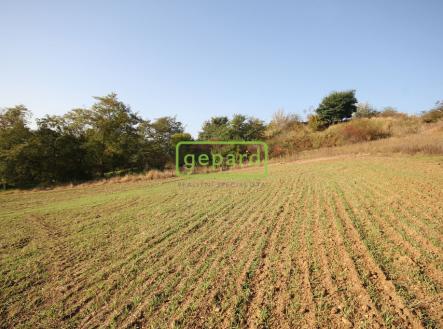 Prodej pozemku pro bydlení, 3 885 m²